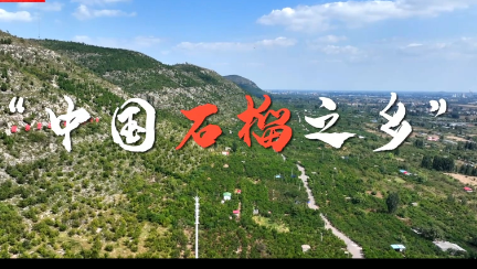 习近平山东行丨走进枣庄市冠世榴园